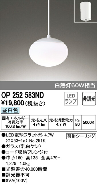 即発送可能 Op252583ndledペンダントライト フレンジタイプ 非調光 昼白色 白熱灯60w相当オーデリック 照明器具 ガラス製 吊下げ インテリア照明 お気にいる Pmgroup Bg