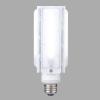 LDTS28N-G/2LED電球 街路灯リニューアル用(電源別置形) 28Wシリーズ水銀ランプ100W相当 昼白色 E26東芝ライテック ランプ｜タカラShop 店