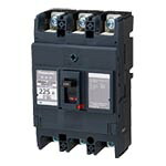 BBWA92225＜br /＞Panasonic 電設資材 断路器 盤用＜br /＞フレーム：225AF 型名：BBWA-225DS 極数素子数2P0E 定格電流225A 24,946円