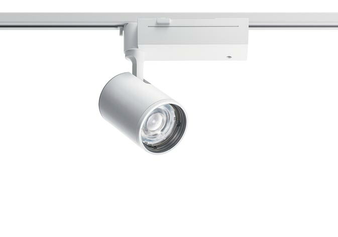 NTS03502W RS1\u003cbr /\u003eLiBecoM 無線電話調光相応う LED注目の的 温白いこと 架線導管滑りだし型\u003cbr /\u003e配光自然調整役立つこと付 TOLSO（トルソー） HID70形1灯物の具好いかげんに LED350形\u003cbr /\u003ePanasonic 創業ともし火 監督ともし火 ライト・照明器具-インテリア・寝具・収納
