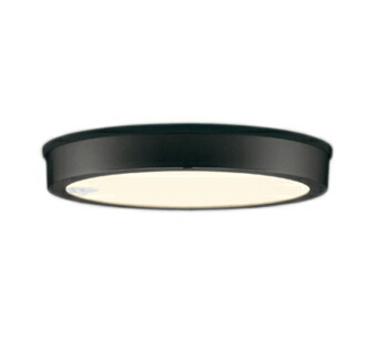 OG254816R＜br /＞エクステリア LEDシーリングライト FLAT PLATE R15高演色 クラス2＜br /＞FCL30W相当 人感センサー付 電球色 114°拡散配光 要電気工事＜br /＞オーデリック 照明器具 屋外用 軒下用