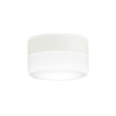 OW269052NR<br />LED業務用バスルームライト 浴室灯 白熱灯器具60W相当 R15高演色 クラス2<br />昼白色 非調光<br />オーデリック 照明器具 防雨・防湿型 天井付・壁付け兼用 軒下用