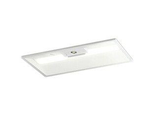XR507010R1DLEDベースライト LED-LINE 非常用照明器具(階段通路誘導灯兼用型)埋込型 下面開放型(幅300) 20形800lmタイプ FL20W×1灯相当 R15高演色 クラス2 非調光 温白色オーデリック 照明器具|タカラShop 店