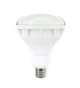 遠藤照明 ランプ＜br /＞バラストレス水銀レフ形LEDランプ＜br /＞300W形 E39口金 昼白色 非調光＜br /＞RAD-590N