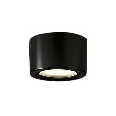 DOL-4070YB＜br /＞LEDアウトドアライト 軒下シーリング＜br /＞LED交換不可 防雨形＜br /＞電球色 非調光 白熱灯60W相当＜br /＞大光電機 照明器具 玄関用 天井照明