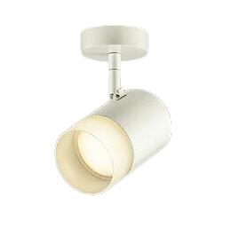DSL-CD202W＜br /＞LEDスポットライト 吹抜け・傾斜天井用＜br /＞LED交換不可 フランジタイプ 要電気工事＜br /＞LED9W 調色 調光タイプ 白熱灯100W相当＜br /＞大光電機 照明器具 天井付・壁付兼用
