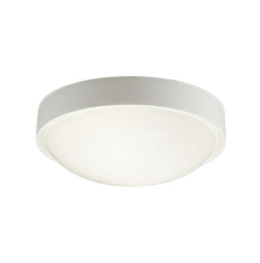 ERG5548WA＜br /＞STYLISH LEDZ アウトドアブラケット/シーリングライト＜br /＞壁面・天井面取付兼用 本体のみ ランプ別売 E26×2灯用タイプ 防湿防雨形 白＜br /＞遠藤照明 施設照明