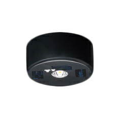 LEDEM09821MK\u003cbr /\u003eLED非常用点火装置物の具 専用形\u003cbr /\u003e9形 低上昇限度用（～3m） 直付\u003cbr /\u003e原則として形30分間 遠隔操作自分自身読み合わせる役立つこと付 非調光\u003cbr /\u003e東芝ライテック 創業点火装置