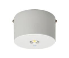 LEDGM50102＜br /＞LED非常用照明器具 電源別置形＜br /＞低天井タイプ 直付＜br /＞東芝ライテック 施設照明