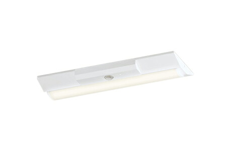 XR506004R4E＜br /＞LEDベースライト LED-LINE 非常用照明器具(階段通路誘導灯兼用型) R15高演色 クラス2＜br /＞直付型 逆富士型(幅230) 20形 3200lmタイプ Hf16W高出力×2灯相当＜br /＞非調光 電球色3000K＜br /＞オーデリック 照明器具 水平天井取付専用