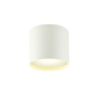 AU54783＜br /＞エクステリア 軒下用LEDシーリングライト＜br /＞ランプタイプ 重耐塩仕様 密閉式＜br /＞白熱球100W相当 非調光 電球色＜br /＞コイズミ照明 照明器具