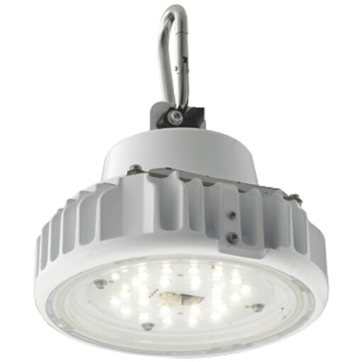 EQCL1003CSA9ALED高天井用照明器具 レディオック シーリング 低温対応形 25Wタイプ 吊下形 昼白色屋内・屋外用 電源ユニット内蔵形岩崎電気 施設照明｜タカラShop 店