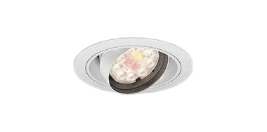 ERD7452WA＜br /＞生鮮食品用照明 LEDZ Rs ユニバーサルダウンライト＜br /＞埋込穴φ150 本体のみ 電源ユニット別売＜br /＞2400タイプ CDM-TC35W器具相当＜br /＞21°中角配光 生鮮ナチュラルタイプ＜br /＞遠藤照明 施設照明