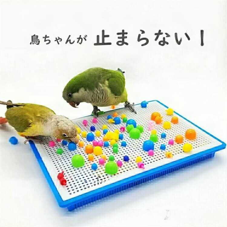 Coco hitomi　インコのカジカジおもちゃ50個 Coco hitomi インコのカジカジおもちゃ50個 バードトイ「レザー