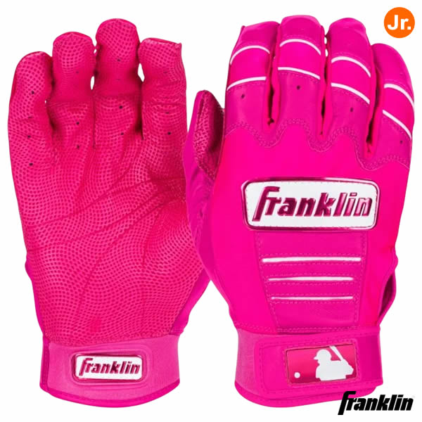 楽天市場】【即日発送可】＜メール便対応＞フランクリン（Franklin