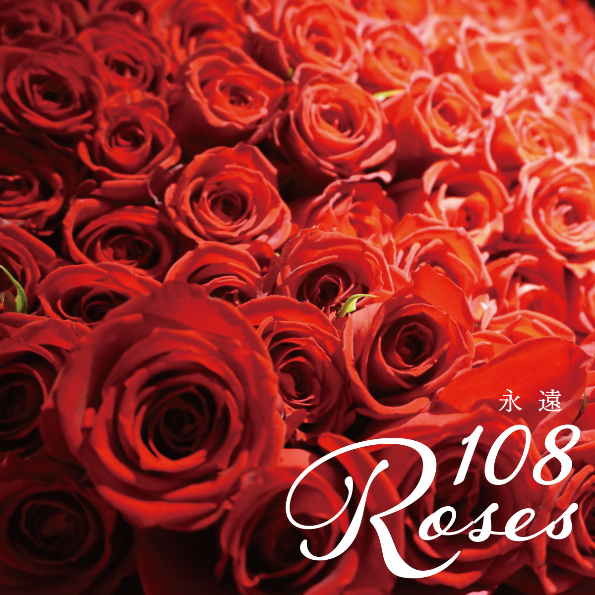 初売りセール 108rose Towa ローズ 記念日 アニバーサリー プロポーズ 誕生日 結婚 結婚記念日 バラ 12本 気持ち ブーケ 花束 花 プレゼント ギフト 花言葉 愛 送料無料 坪井花苑 売り尽くし価格 Titanicgroup Com