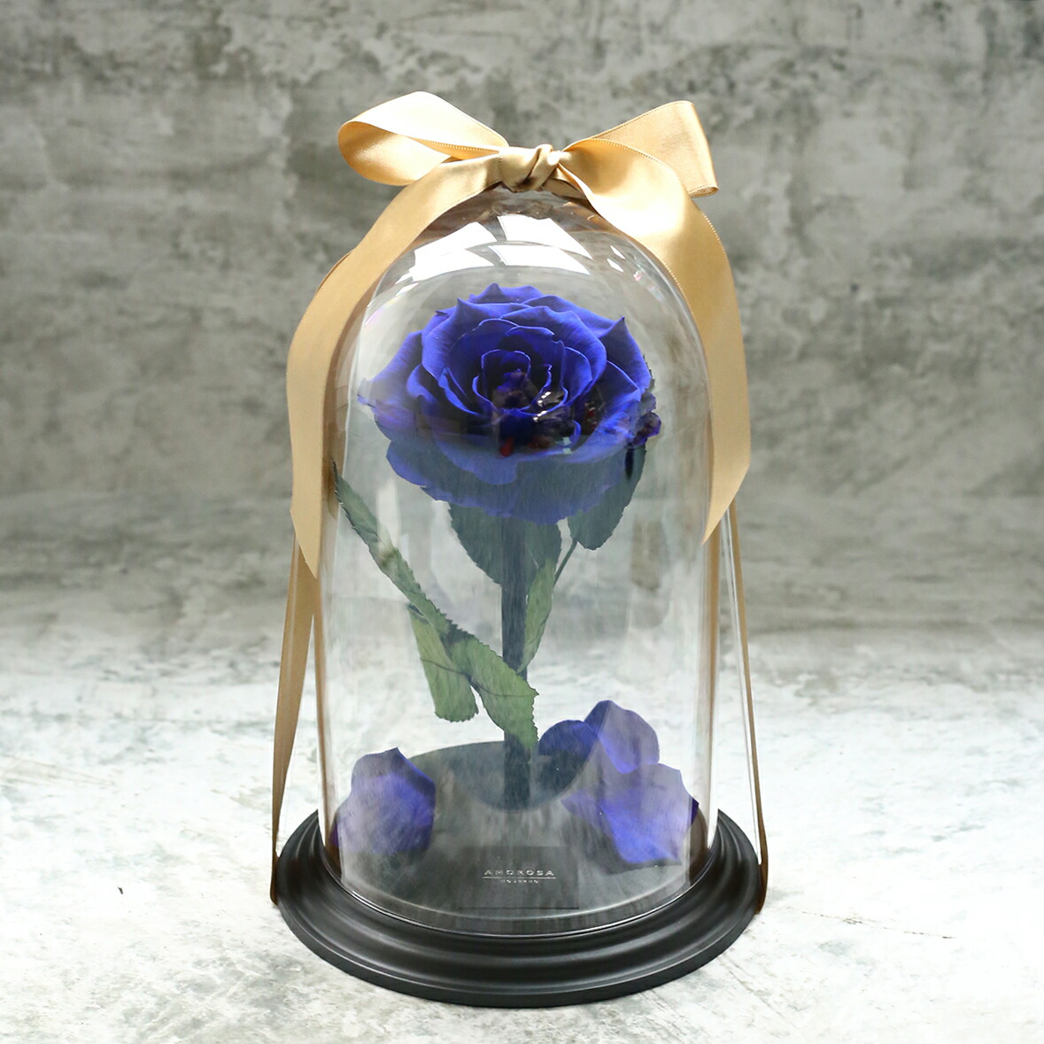 楽天市場】「12 APPLAUSE」アプローズ 母の日 記念日