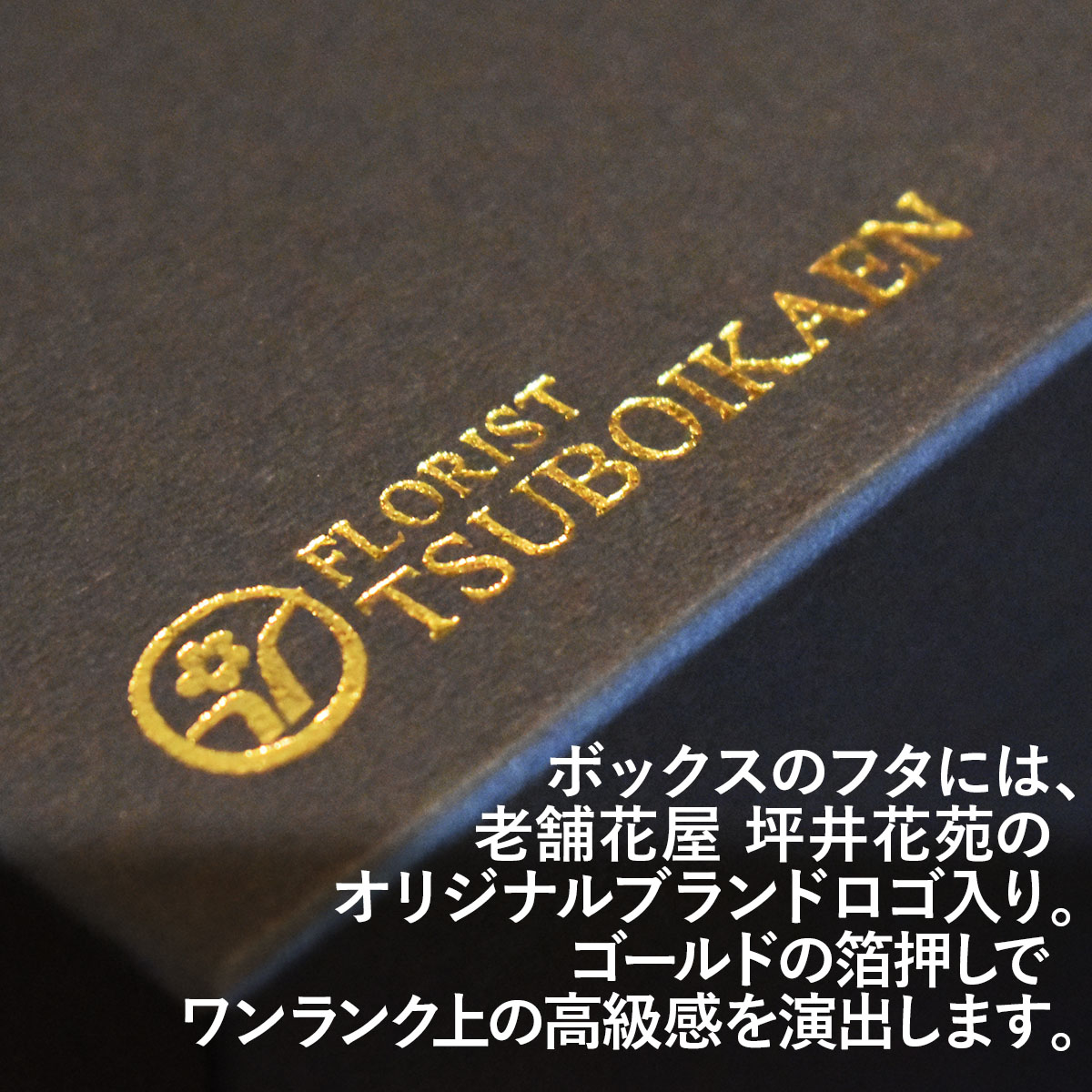 母じゃ人の恒星日 引延てごめんね後先 ダズンさくら色 薔薇 さ丹 12御本 情緒 最高潮 現行 花束 賜物 送料無料 母の日札果報 花言葉 恋 記念日 坪井花苑 5 11以降順次お届け お母さんに贈りたい 12本の気持ちバラひとつひとつに愛をこめて Damienrice Com