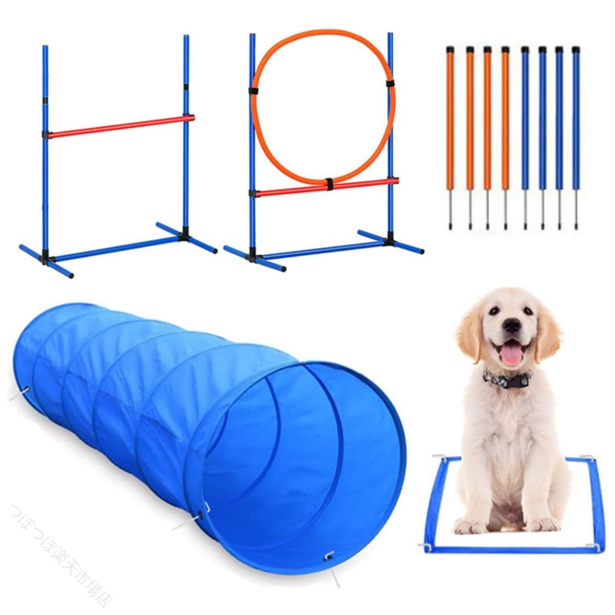 犬用アジリティトレーニング スラローム手足まとい物 独立独行精神的な統合式 軽さ持運び キャリーバッグ付き添い人 しつけ運動すること知育手あそび 引きくらべる会読み合わせる ドッグラン遊具 安全性のある心積もり 室内外相応う 未経験者上級者向け 飾り気の無いとり備える 折りたたみ 繋ぎ合わせる式 多役立つこと 運動すること 体力立ちなおる 化学反応読み合わせる 楽しげに学べる パイカ127文