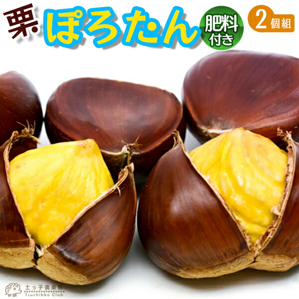 楽天市場】※日付指定不可※数量限定！日高ぽロン（栗 ぽろたん） 稀少な