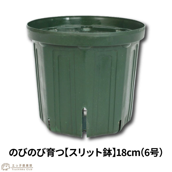 全国送料無料ギフト slit18_1-1.jpg 落葉樹