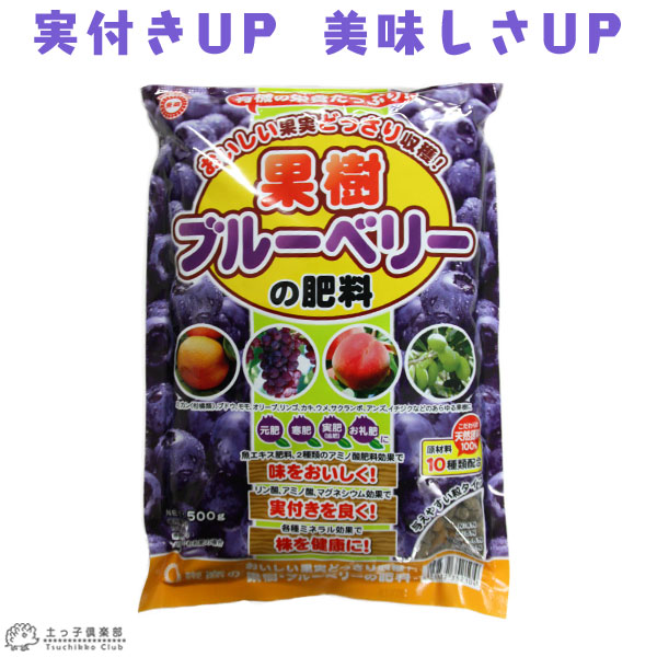 楽天市場】ブルーベリー 苗木 （ 3年生 ） 4.5号ポット苗