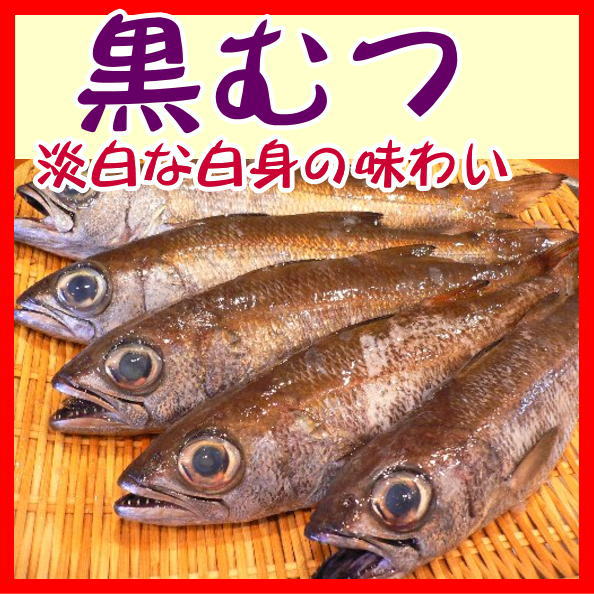 楽天市場 受注生産 黒むつ干物 クロムツ塩干し開き 沼津無添加地魚産地直送 駿河湾特急