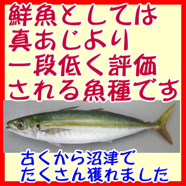 楽天市場 ムロあじ干物 沼津無添加あじひもの ムロアジ干物産地直送 駿河湾特急