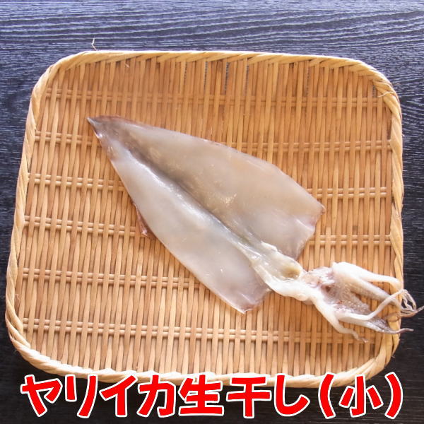 楽天市場 やりいか生干し小サイズ 開き 沼津無添加ヤリイカひもの 国産やりいか干物産地直送 駿河湾特急