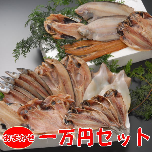 干物セット（ひもの詰め合わせ）店長おまかせ豪快詰め合わせ （あじ・赤むつ・金目鯛・かます・ほっけ・太刀魚等々)無添加 送料無料 静岡 沼津