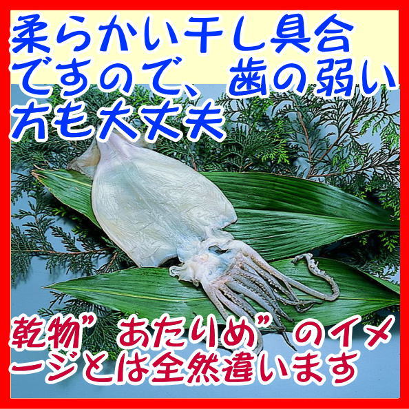 楽天市場 いか生干し するめいか開き 沼津無添加スルメイカひもの 国産真いか干物産地直送 駿河湾特急