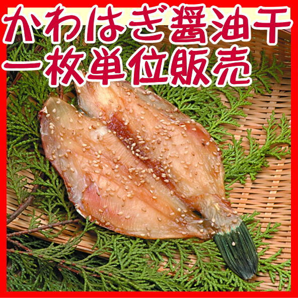 市場 かわはぎ醤油干し 沼津無添加カワハギ干物産地直送 駿河湾特急 ウマヅラはぎ
