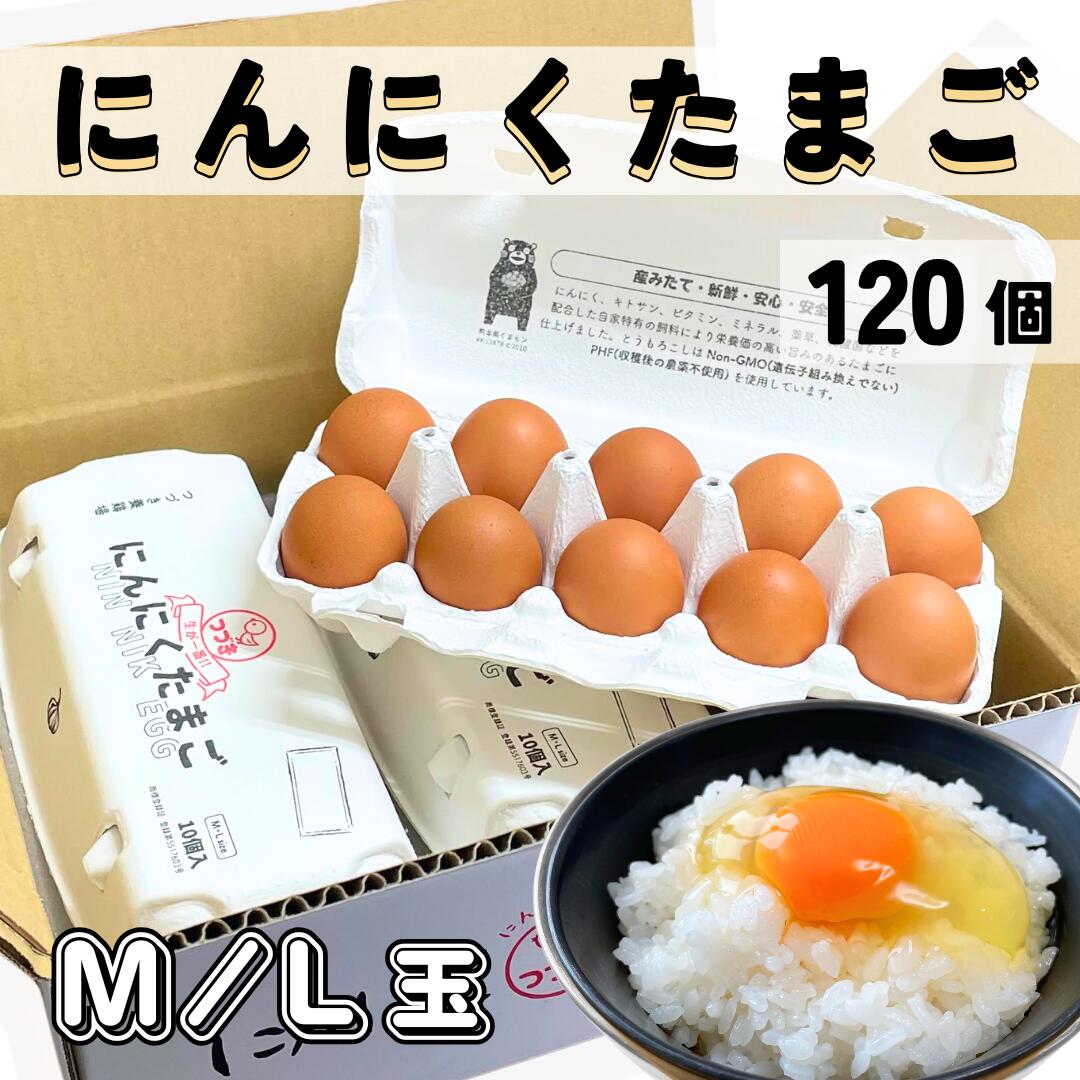 にんにくたまご 120個入 卵 10個入り×12パック 卵 生卵 鶏卵 たまご タマゴ 玉子 高級卵 高級生卵 美味しい卵 ブランド卵 お取り寄せグルメ 高級食材 濃い 濃厚 卵かけご飯専用 卵の通販 美味しいもの つづき養鶏場 熊本県 国産 贈り物 贈答 生食用 業務用 九州産 大量