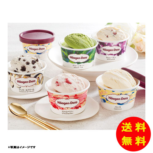 ギフト ハーゲンダッツ アソートバラエティ AH-LCA 冷凍 【送料無料 北海道・沖縄・東北 別途加算】