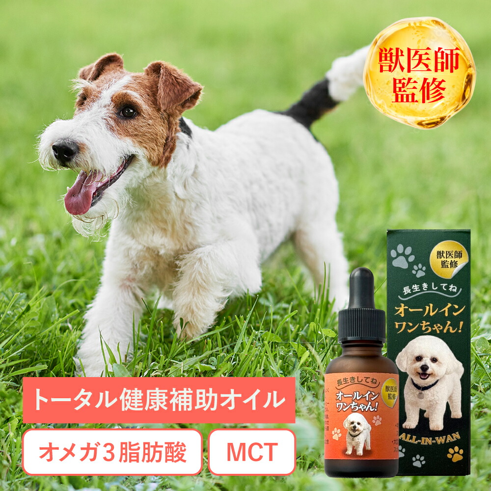 オールインワンちゃん 犬用 MCTオイル 獣医師監修