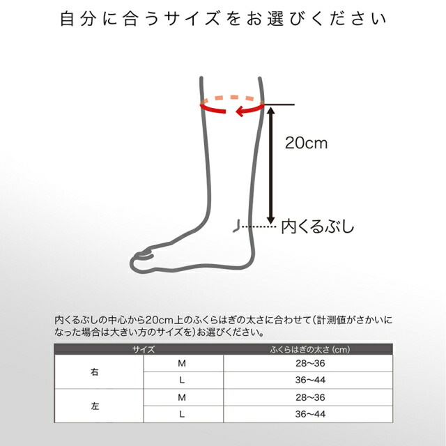 楽天市場 Zamst ザムスト すねサポーター 脛サポーター シンスプリント Sp 1 左右別々販売 辻川スポーツ