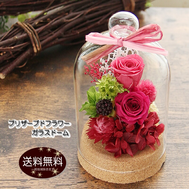 楽天市場】枯れない洋ランギフト 国産ボトルフラワー 『森のグラス