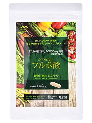 ORGANIC MINERAL｜オーガニック フルボ酸宇宙カプセル カラダにもの柔らか草木性取り入れる鉱物 デキストリン 練りあわせる 120粒