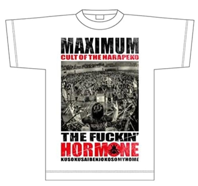 マキシマムザホルモン CULT OF THE HARAPEKO HAE 「蝿」 【M】 7,541円