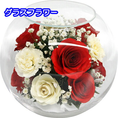 個人動静買い取る能力のある 貨物輸送無料 Sss 杯フラワー 送料無料 贈呈 音物 御持たせ 下され物 お中元 暑中見舞 御歳暮 詰め合わせ Chelseafilm Org