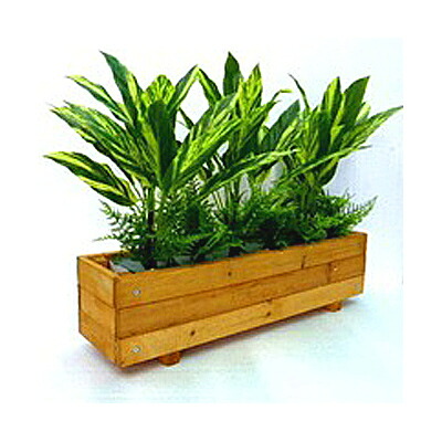 【個人様購入可能】● 【オフィスグリーンプランタ】 造花 人工観葉植物 インテリアグリーン 送料無料 91628｜京都のちょっとセレブな企業専門店