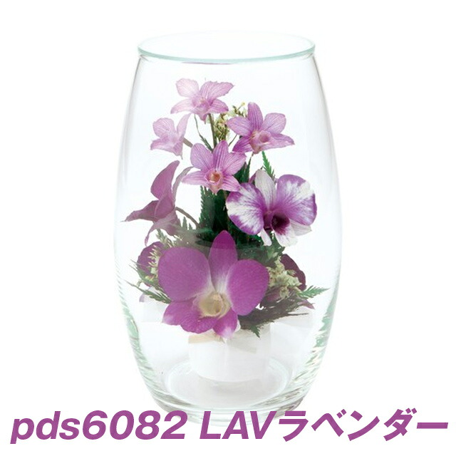 【個人様購入可能】● (pds6082) オーバルオーキッドアレンジ (LSV・PU) 送料無料 93752