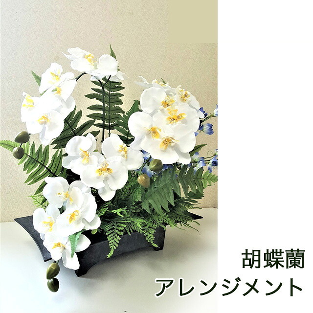 【個人様購入可能】●胡蝶蘭 アレンジ ［ tk-1115 ］ 送料無料 93811
