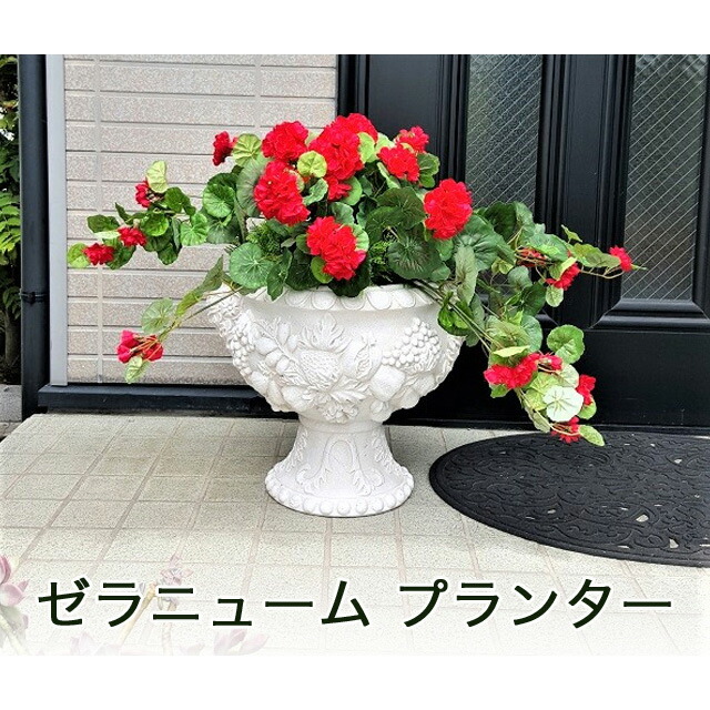 【ポイント3倍 4/4 20時から】 【個人様購入可能】● ゼラニューム プランター ［ cck-540 ］ 送料無料 93819