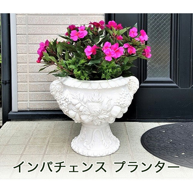 【ポイント3倍 4/4 20時から】 【個人様購入可能】● インパチェンス プランター ［ cck-540 ］ 送料無料 93820 花・ガーデン・DIY-植木鉢・プランター
