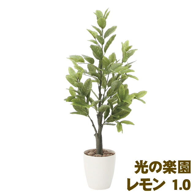 【ポイント3倍 7/19 20時から】【個人様購入可能】●光の楽園 (818A150-48) レモン 1.0 送料無料 93887|京都のちょっとセレブな企業専門店