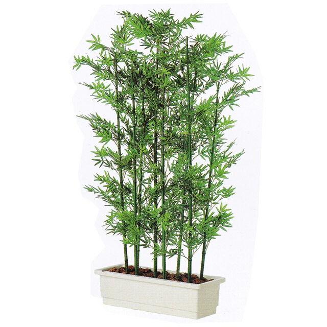 【10%OFF  百貨店SALE継続期間制限事項】 【人間様買いもとめる能力のある】● 【91524】 大型パテーション 青竹 180m 貨物輸送無料 92885