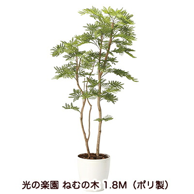 【尖んがり3倍 6/4 20時から】【人間様買いもとめる能力のある】●光のエデンの園 (2106A460-28) ねむの木 1.8Ｍ（ポリ製） 貨物輸送無料 94161