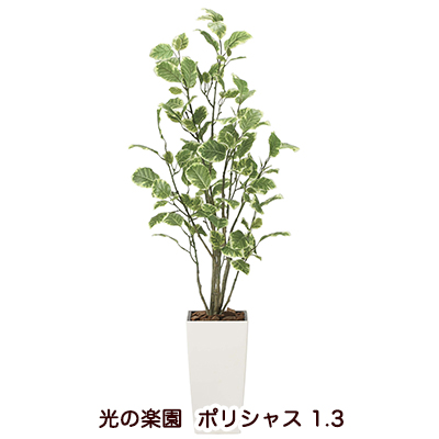 光触媒人口植物 造花 花 ガーデン Diy 観葉植物 アレンジメント 花 観葉植物 おしゃれ かわいい 新築祝い 開店祝い 造花 誕生日 個人様購入可能 送料無料 光の楽園 30a0 49 ポリシャス 1 3 京都のちょっとセレブな企業専門店