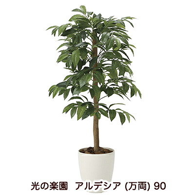 【ポイント3倍 7/19 20時から】【個人様購入可能】●光の楽園 (2032A140-54) アルデシア (万両) 90 送料無料 94184|京都のちょっとセレブな企業専門店